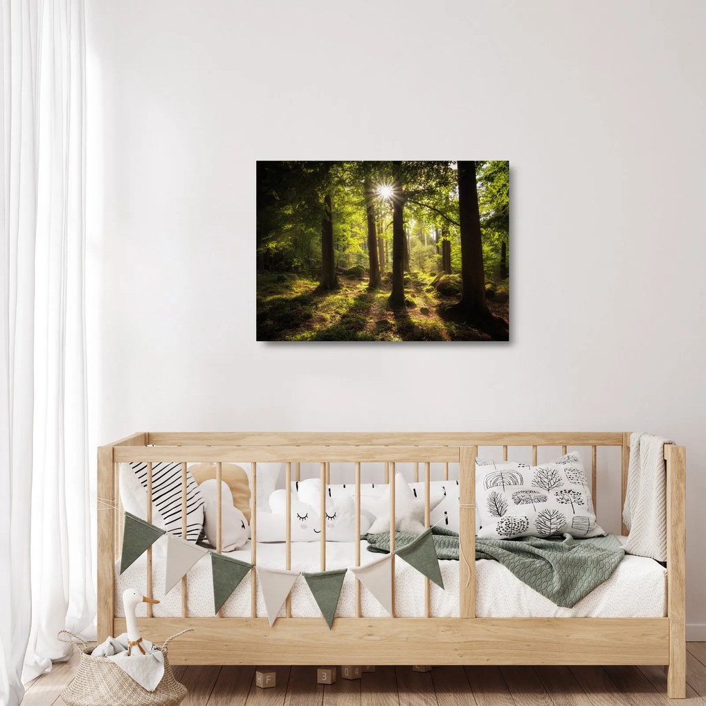 Sklenený obraz snového lesa (70x50 cm)