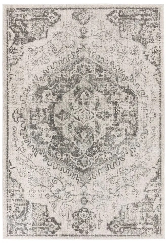 Sivo-krémový koberec 160x230 cm Nova – Asiatic Carpets