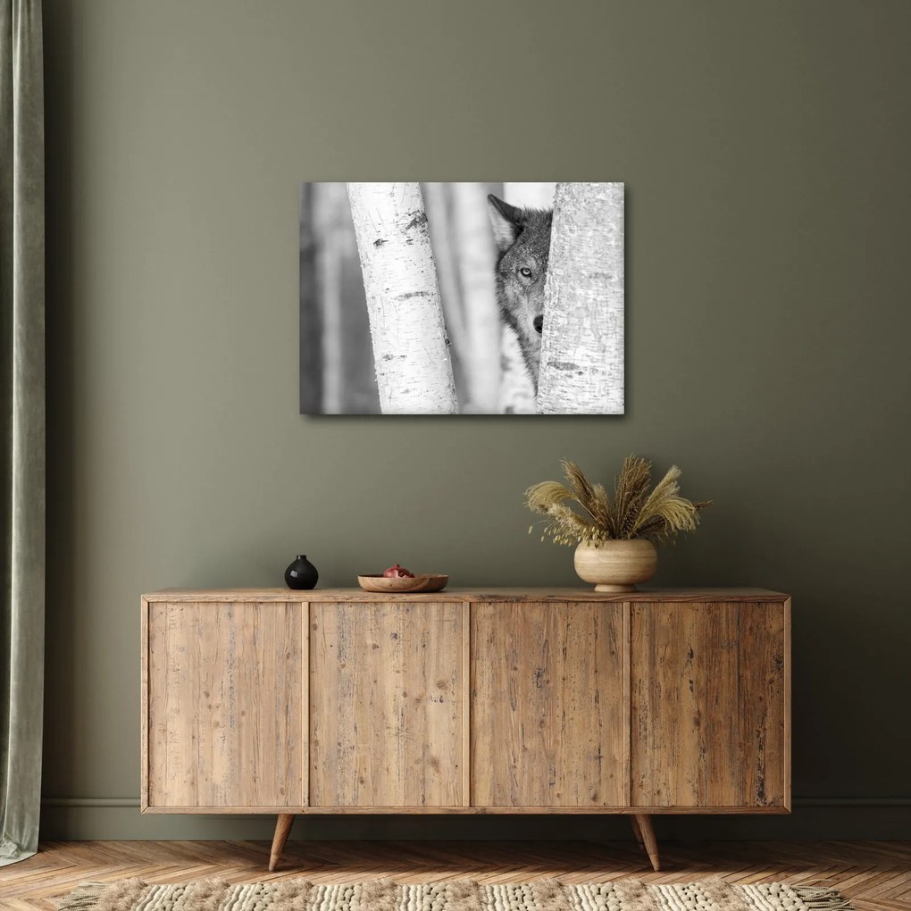 Obraz - Vlk v lese (70x50 cm)