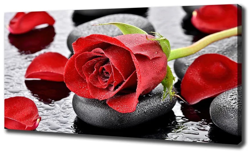 Moderné fotoobraz canvas na ráme červená ruža pl-oc-140x70-f-69893127