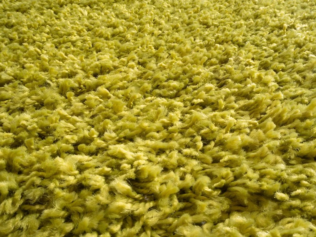 Mono Carpet, Kusový koberec Efor Shaggy 1903 Green, 160x230, zelená, obývacia izba