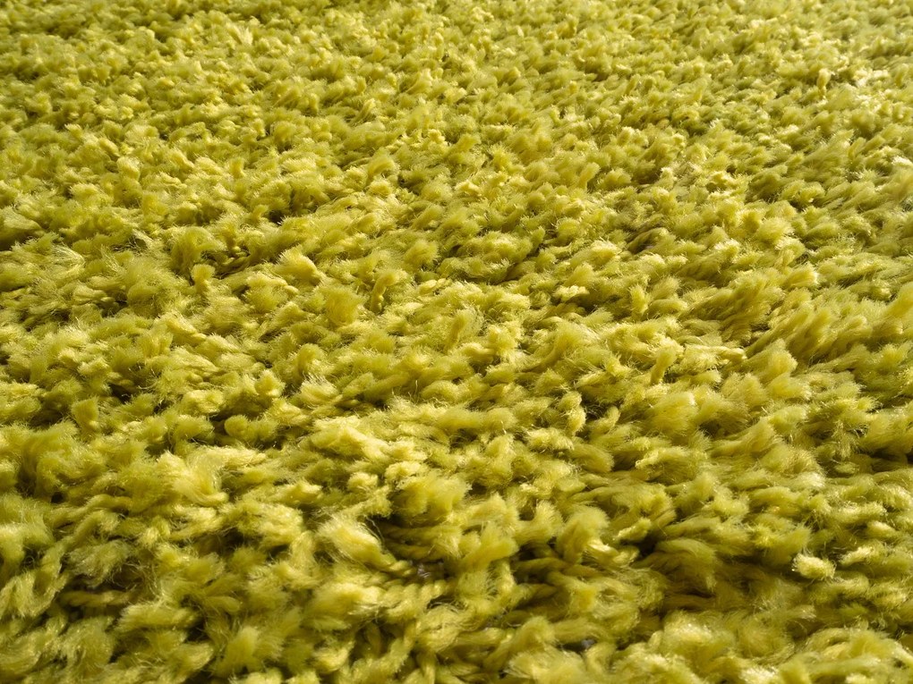 Mono Carpet Kusový koberec Efor Shaggy 1903 Green - 200x290 cm