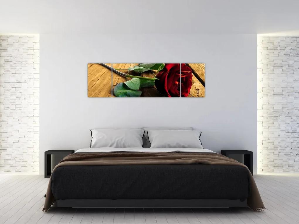 Ležiaci ruža - obraz