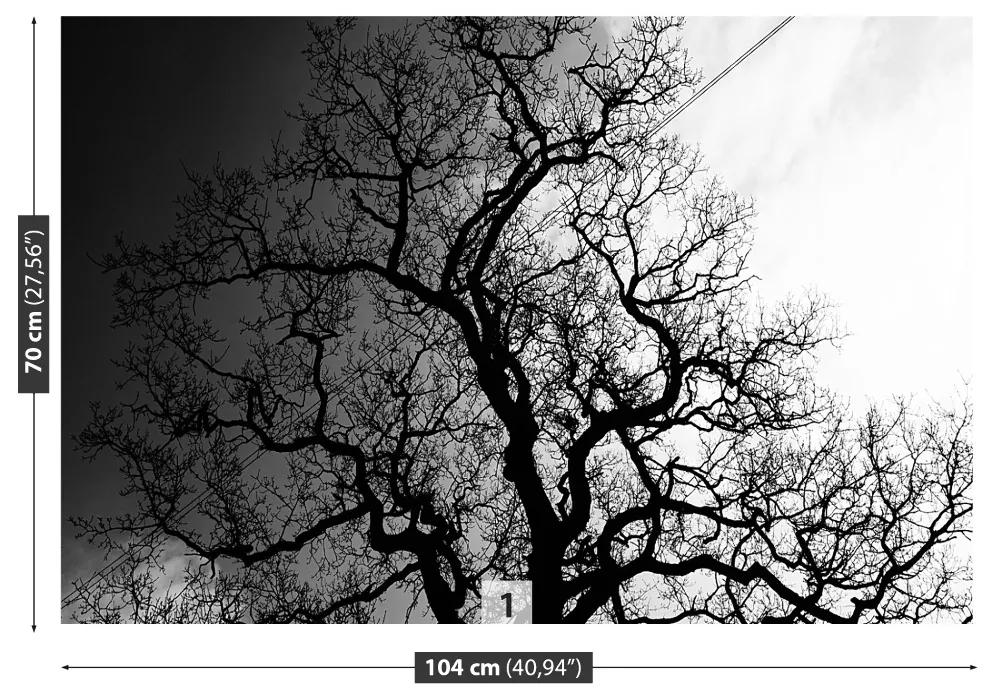 Fototapeta Vliesová Strom 104x70 cm