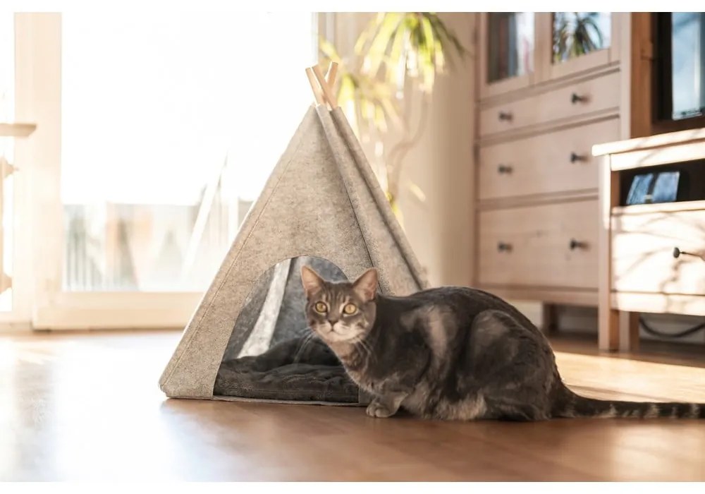 Svetlosivý teepee stan pre domácich maznáčikov Wenko