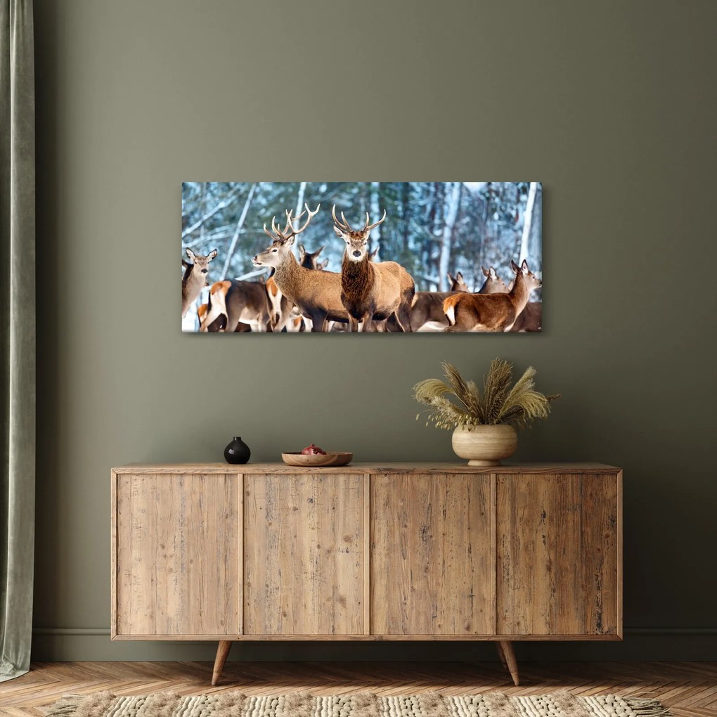 Obraz - Stádo jeleňov (120x50 cm)