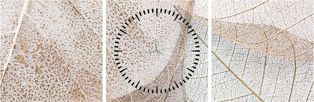 Obraz - Béžové listy (s hodinami) (90x30 cm)