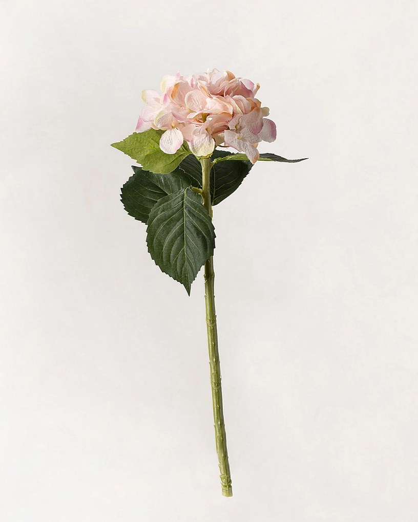 Vetvička hortenzie 50 cm