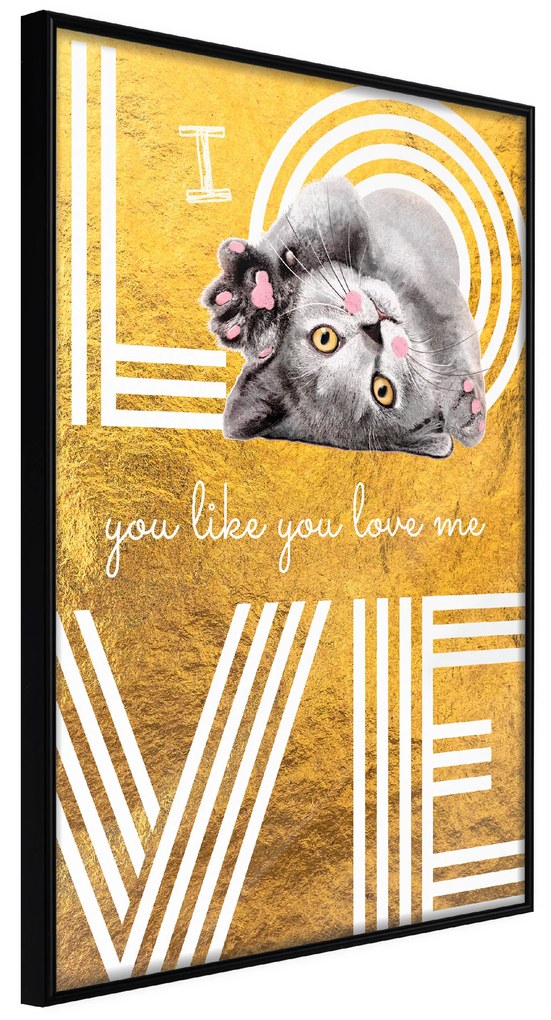 Artgeist Plagát - I Love You like You Love Me [Poster] Veľkosť: 20x30, Verzia: Zlatý rám