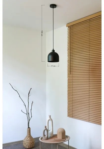 Duolla - Závesné svietidlo na lanku IRONLINE 1xE27/15W/230V priemer 17 cm čierna