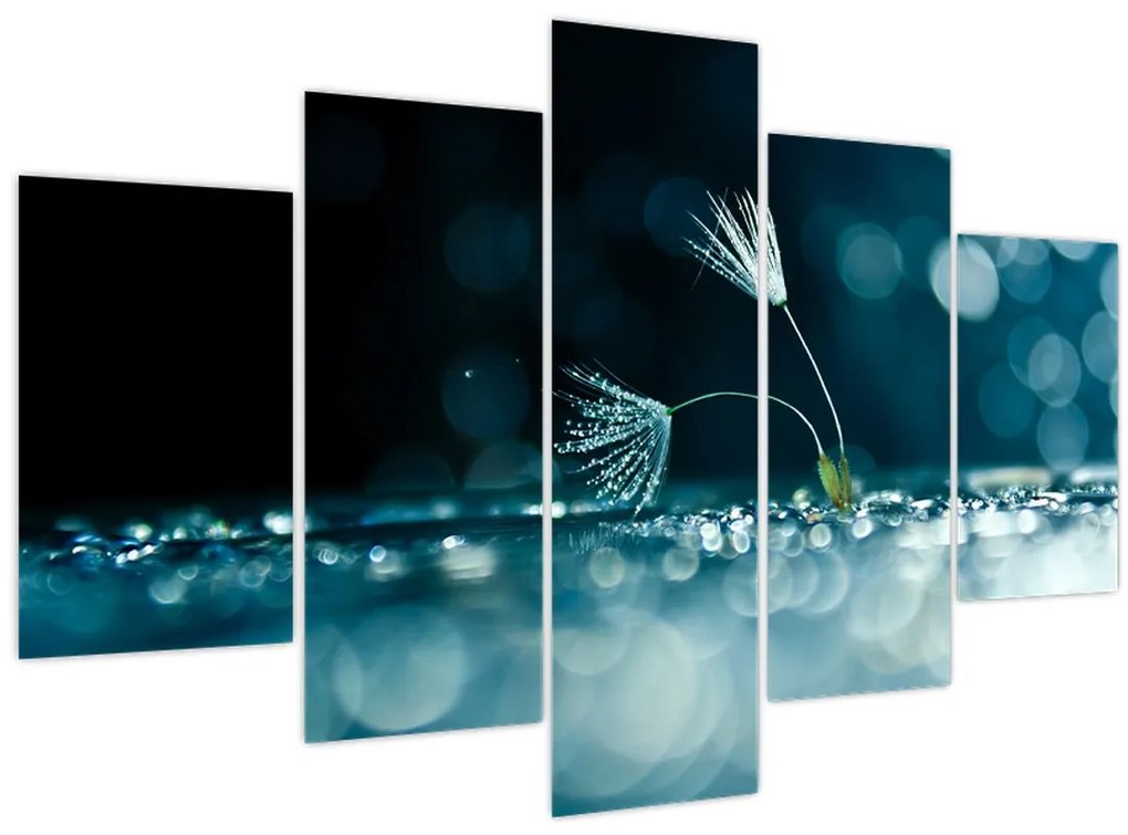 Obraz - Makro (150x105 cm)