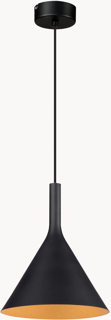 Závesné svietidlo Asia