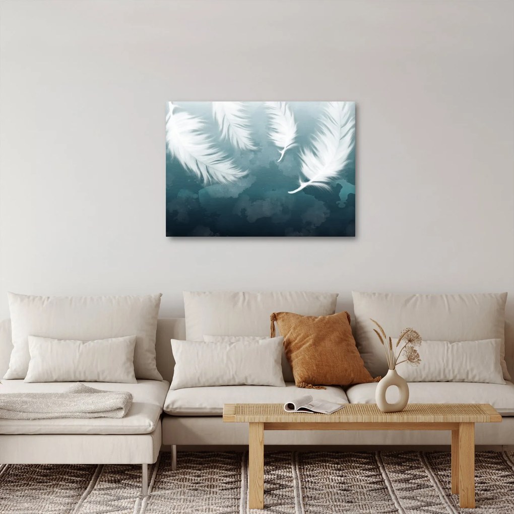Obraz - Biela pierka (70x50 cm)