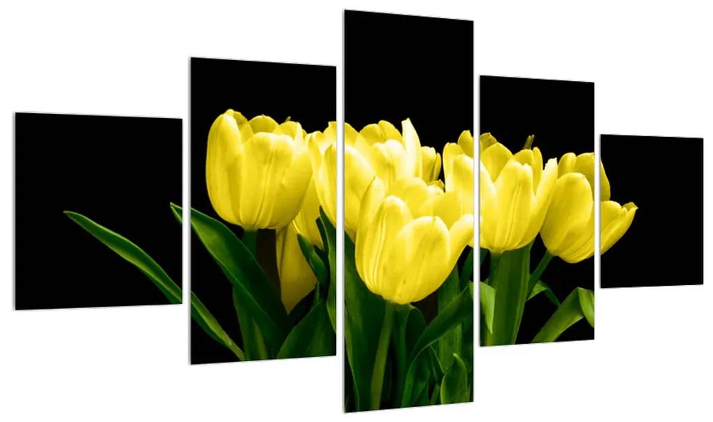Obraz žltých tulipánov (K014370K12570)