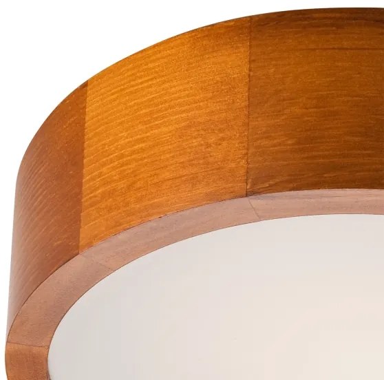 Stropné svietidlo 1xE27/60W/230V