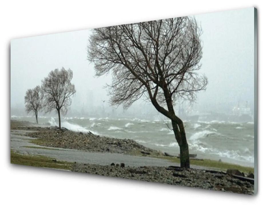 Skleneny obraz More búrka vlny 100x50 cm