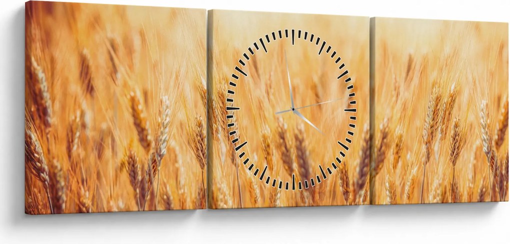 Obraz - pole s obilím (s hodinami) (90x30 cm)