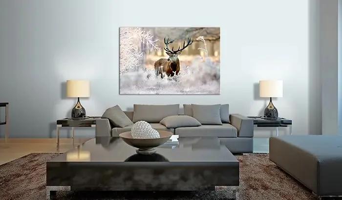 Obraz - Deer in the Cold Veľkosť: 120x80, Verzia: Premium Print