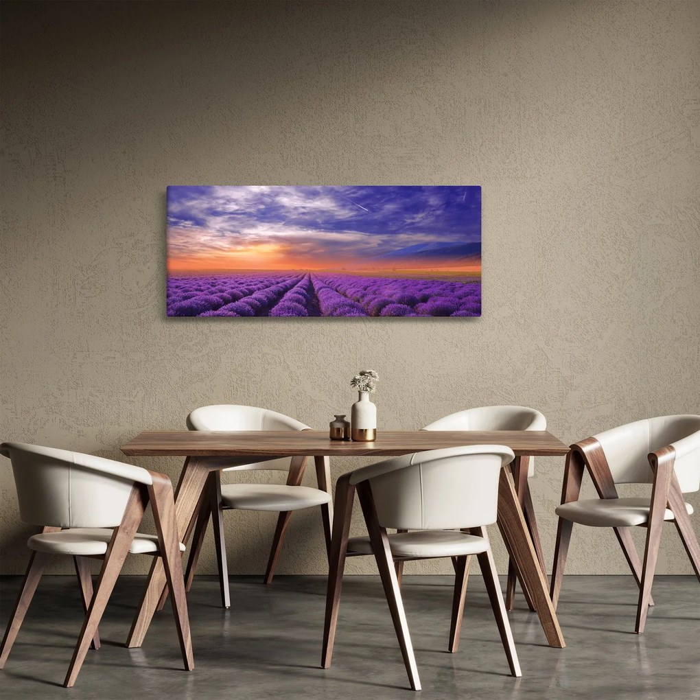 Obraz levanduľového pole (120x50 cm)