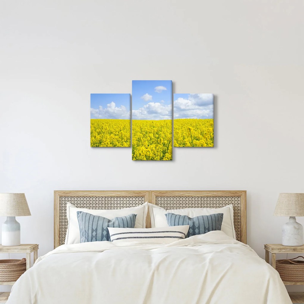 Obraz žltého poľa (90x60 cm)