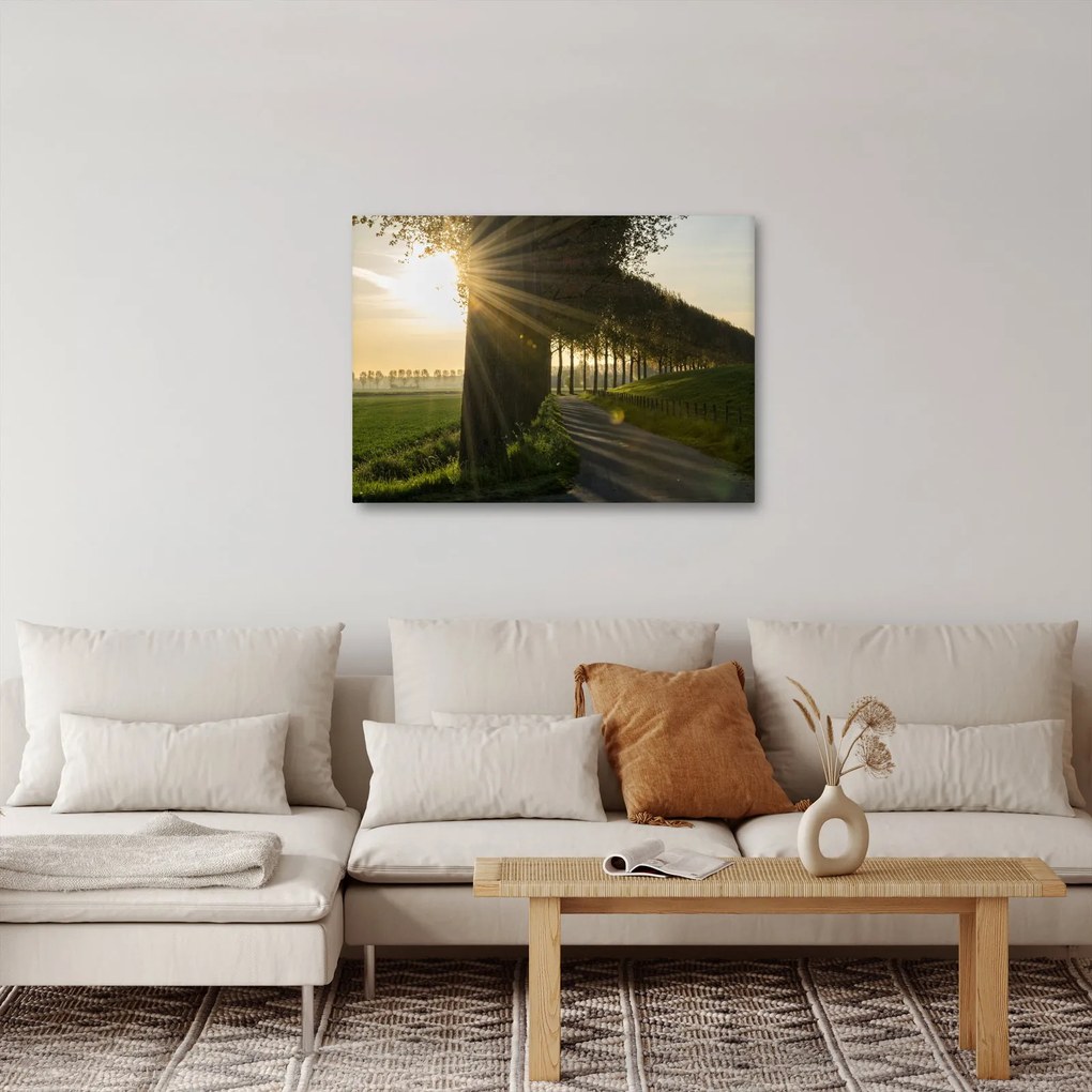 Obraz aleje (70x50 cm)