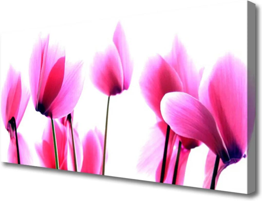 Obraz na plátně Sklenené kvetiny Rastlina