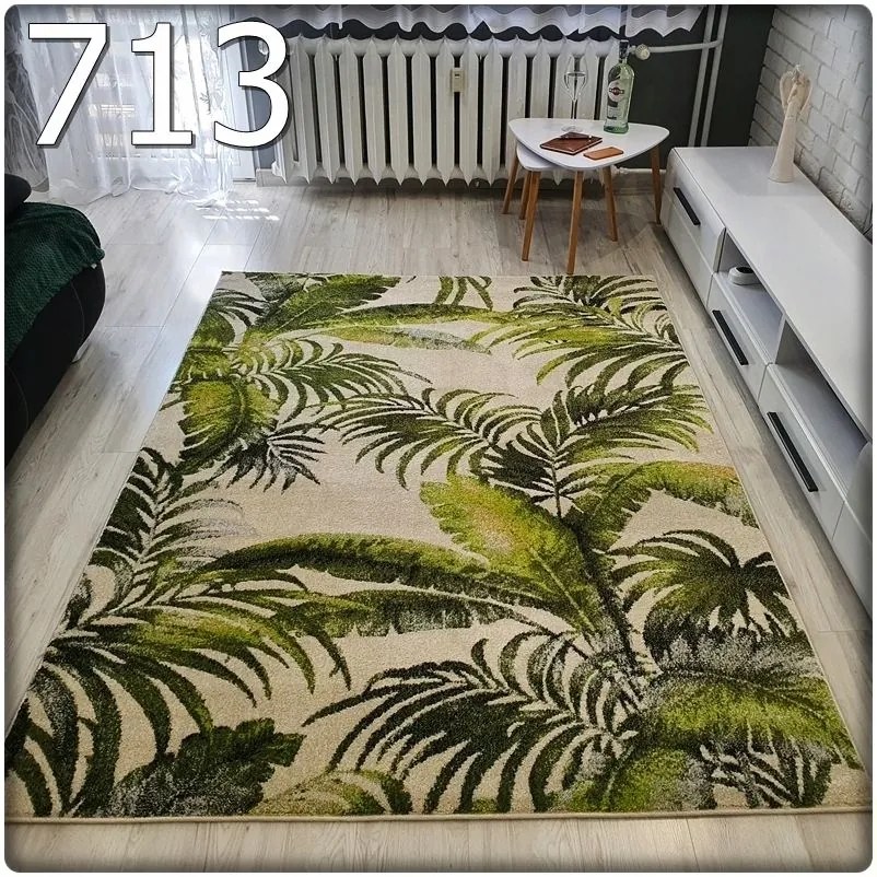 Dekorstudio Moderný koberec GARDEN so vzorom listov 713 Rozmer koberca: 200x290cm