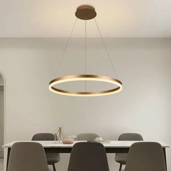 Brilagi - LED Stmievateľný luster na lanku CIRCLE LED/42W/230V 3000-6500K + DO