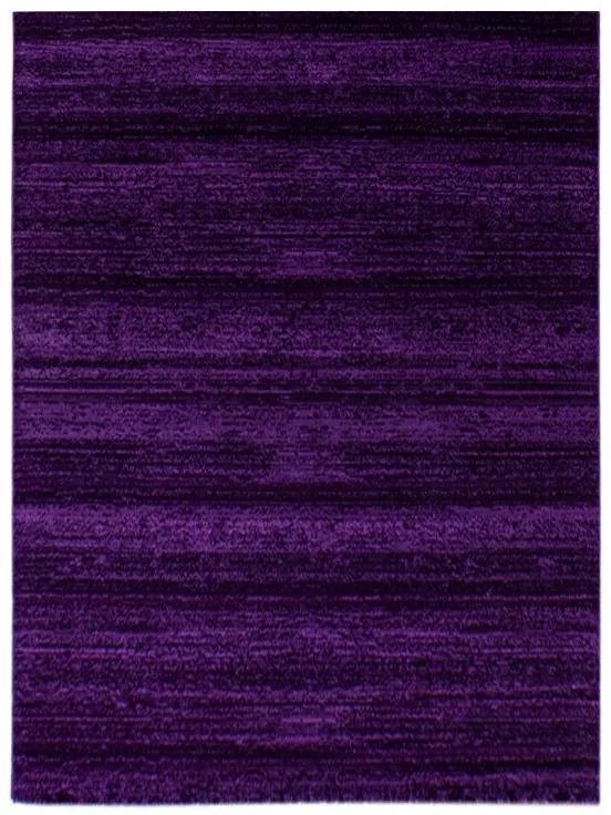 Ayyildiz koberce Kusový koberec Plus 8000 lila - 200x290 cm