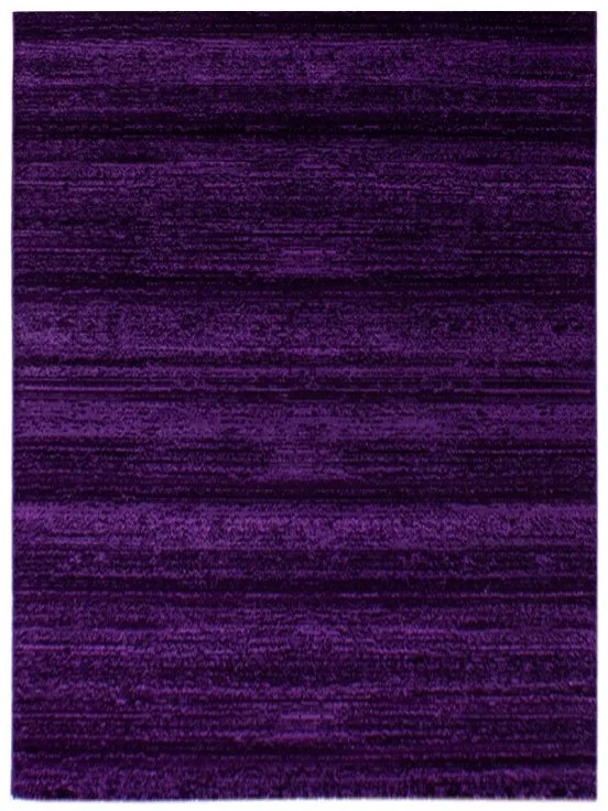 Ayyildiz, Kusový koberec Plus 8000 lila, 200x290, fialová, chodba / predsieň