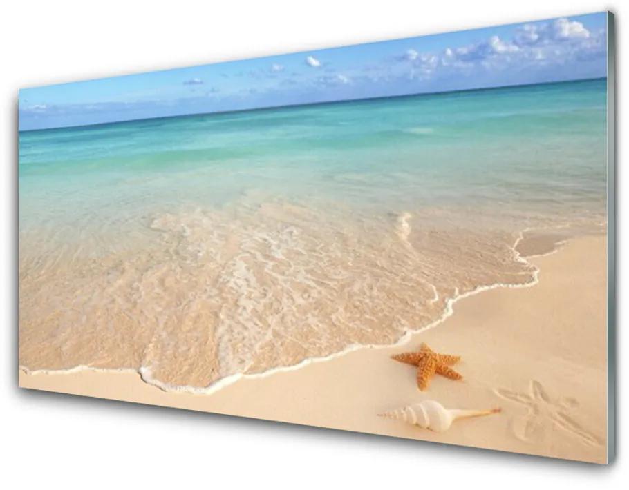 Nástenný panel  Pláž hviezdice príroda 100x50 cm