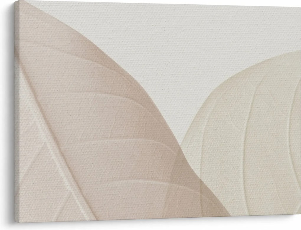 Obraz - Texturované listy (70x50 cm)