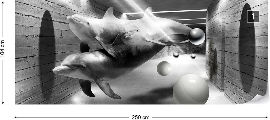 Fototapeta GLIX - 3D Dolphins Tunnel + lepidlo ZADARMO Vliesová tapeta  - 250x104 cm