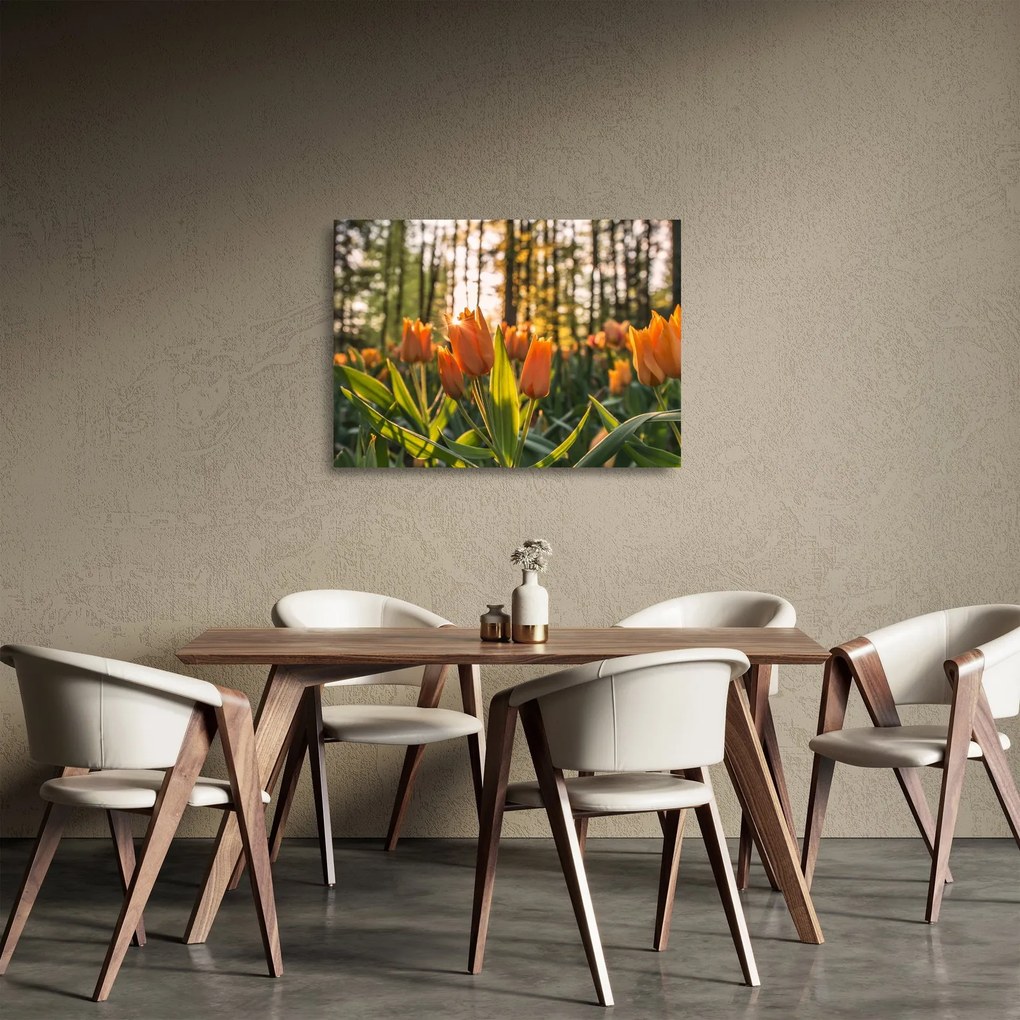 Sklenený obraz - oranžové tulipány (70x50 cm)