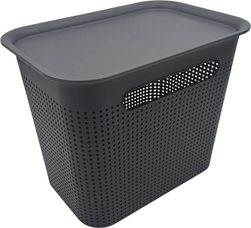 Rotho Úložný box s rúčkami BRISEN 7l, 26x18x21cm, čierny