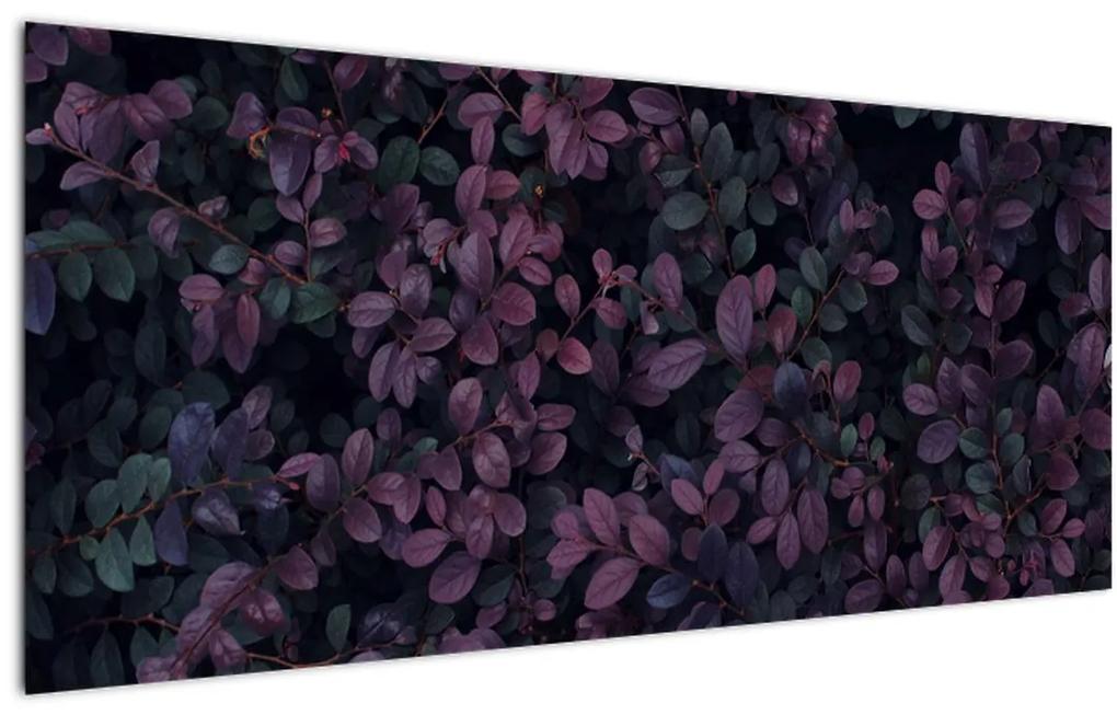 Obraz tmavočervených lístočkov (120x50 cm)