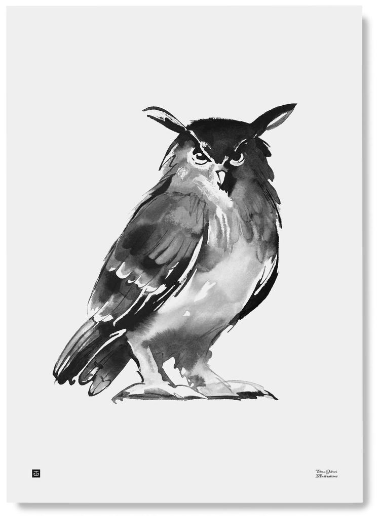 Teemu Järvi Plagát s motívom sovy Eagle Owl 50x70
