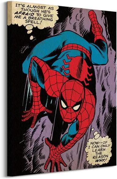Obraz na plátne Marvel Spiderman (Reason Why) 60x80cm WDC90944