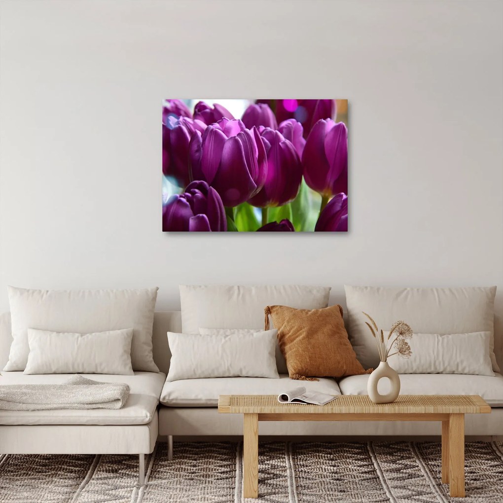 Obraz tulipánov (70x50 cm)