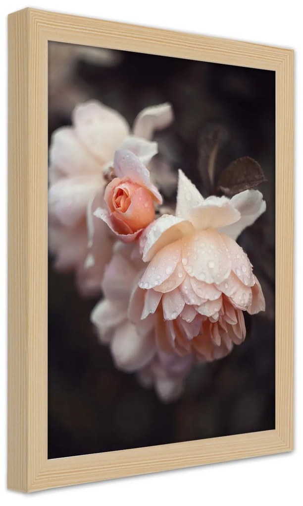 Gario Plagát Makro fotografovanie kvetov Farba rámu: Bez rámu, Rozmery: 30 x 45 cm