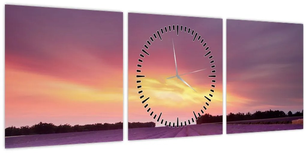 Obraz - Levanduľové pole (s hodinami) (90x30 cm)