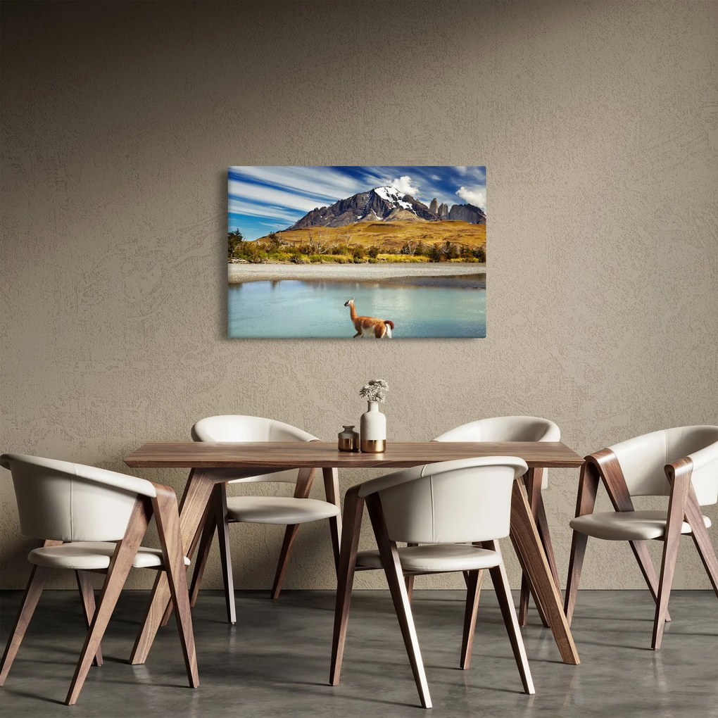 Obraz - Národný park Torres del Paine (90x60 cm)