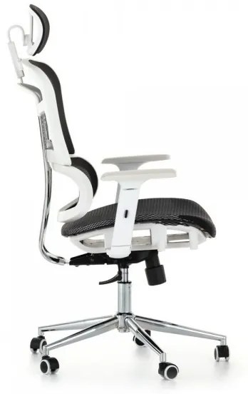 Kancelárska stolička Pegasus