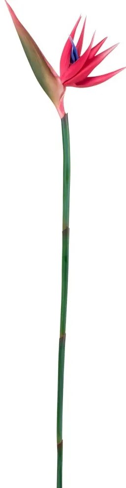 Dekoračné kvetina ružová Strelitzia - 107cm