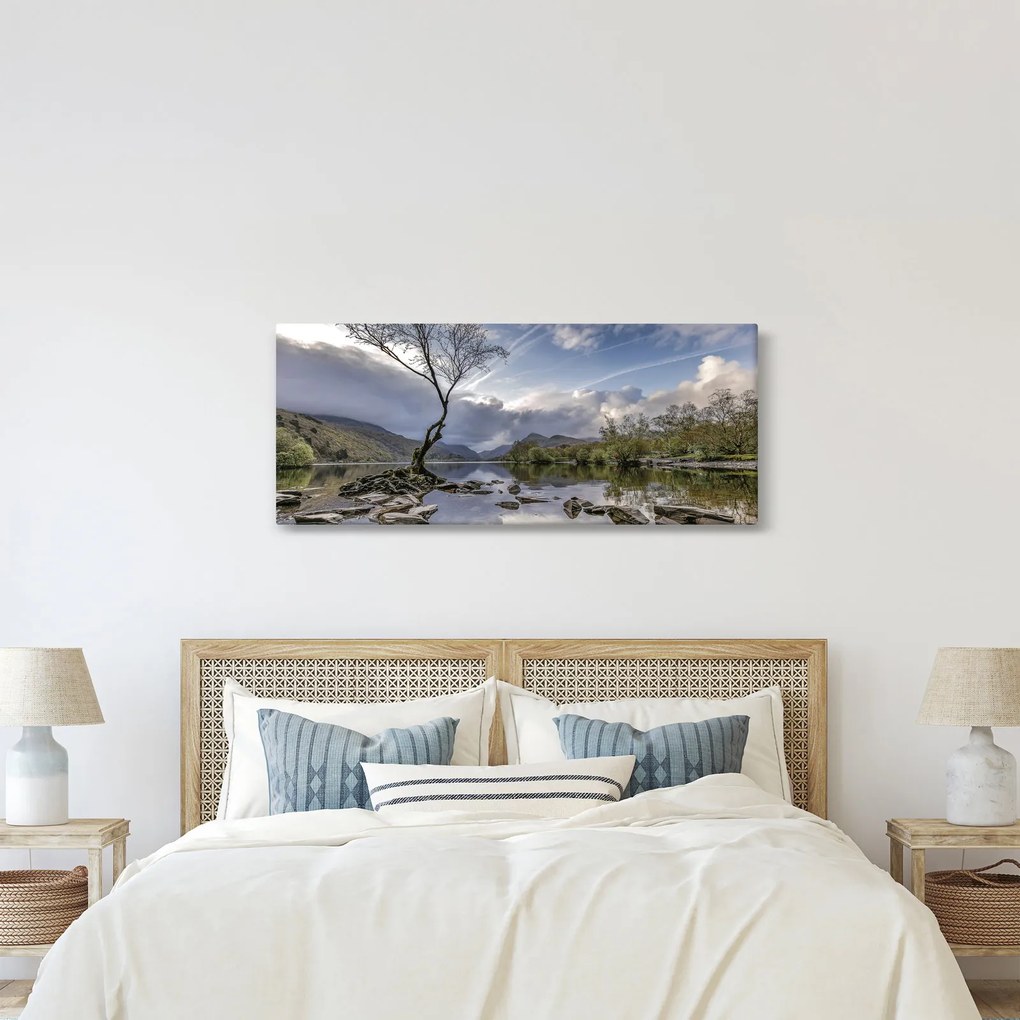 Obraz rieky za stromom (120x50 cm)