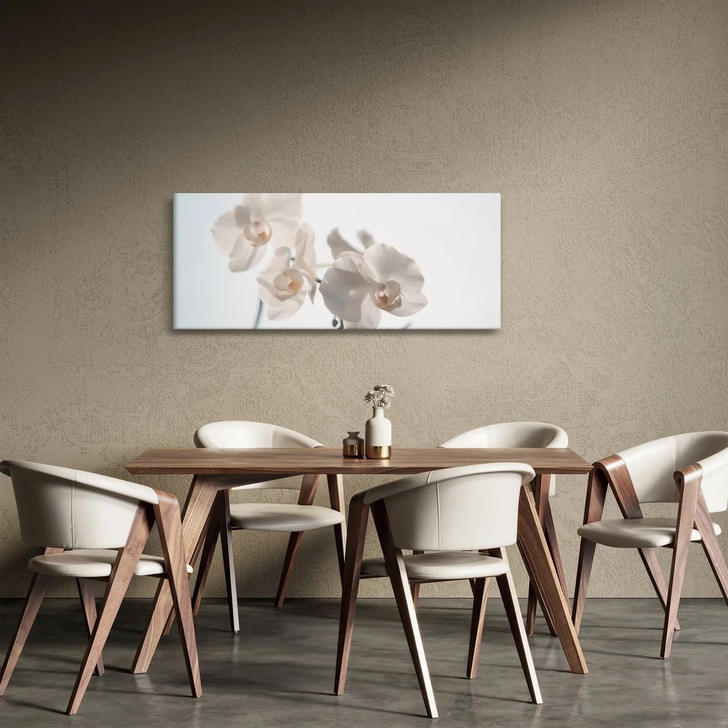 Obraz bielej orchidey (120x50 cm)