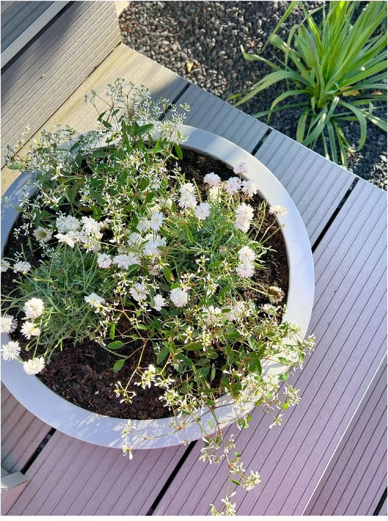 Okrasná miska PLANA, sklolaminát, Ø 54 cm x výška 14 cm, betón design