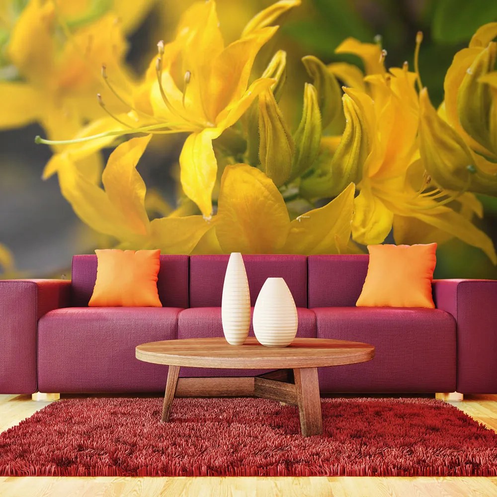 Fototapeta Bimago - Close-up of yellow azalea + lepidlo zadarmo 200x154 cm