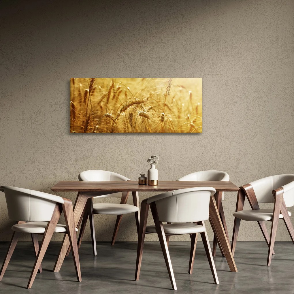 Obraz - Klasy obilia (120x50 cm)