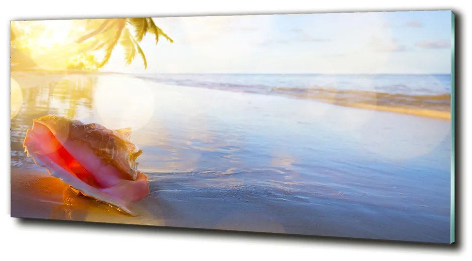 Fotoobraz na skle Mušle na pláži cz-obglass-125x50-83555961